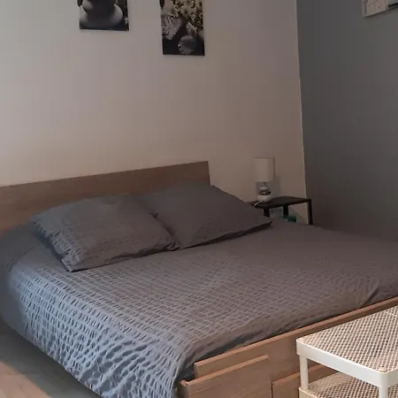Appartement Lumineux Axe Centre Facs Chu Poitiers