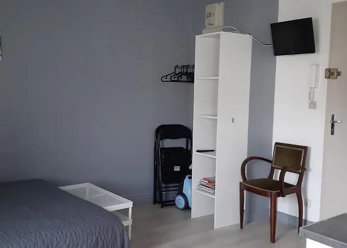 Apartment Lumineux Axe Centre Facs Chu